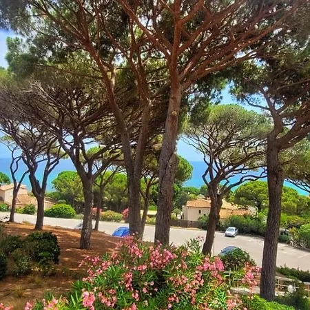Appartement Vue 200 M Des Plages - Djumbo *