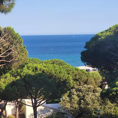 Appartement Vue 200 M Des Plages - Djumbo